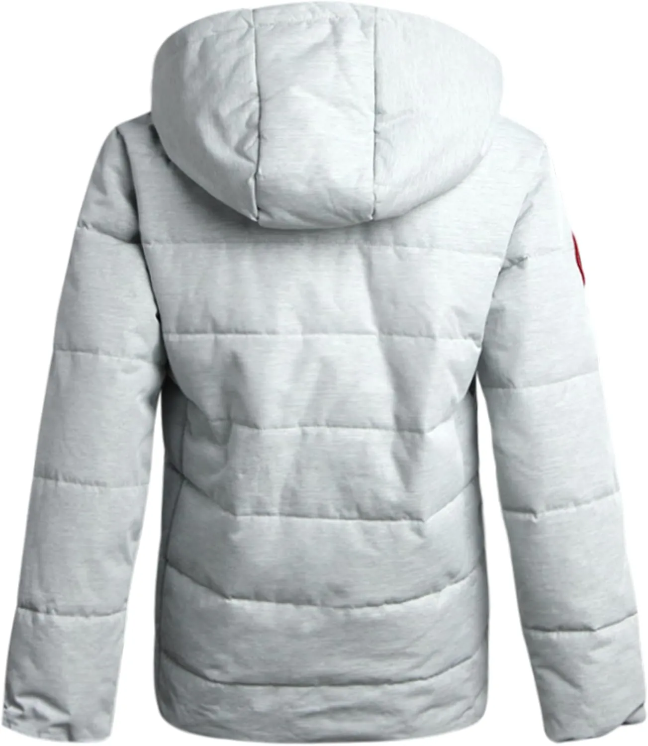CANADA WEATHER GEAR Men's Winter Jacket – Heavyweight Puffer Jacket – Casual Coat for Men (M-XXL)