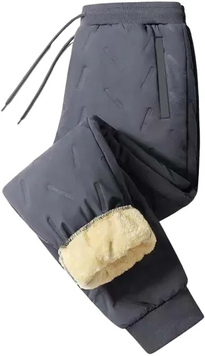 Men's Fleece Lined and Windproof and Rainproof Pants Winter Warm Training Pants Active Thermal Jogger Fleece Lined