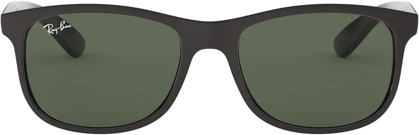 Ray-Ban RB4202 Andy Rectangular Sunglasses