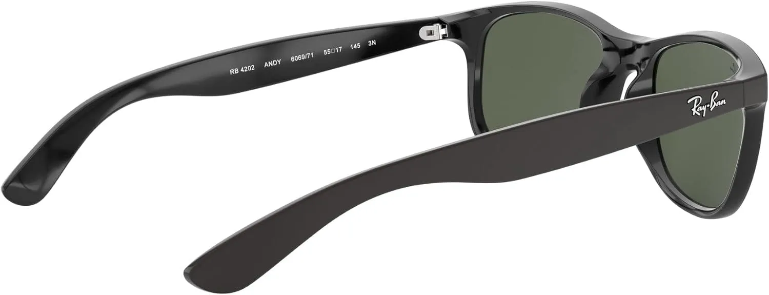Ray-Ban RB4202 Andy Rectangular Sunglasses