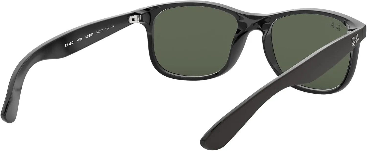 Ray-Ban RB4202 Andy Rectangular Sunglasses