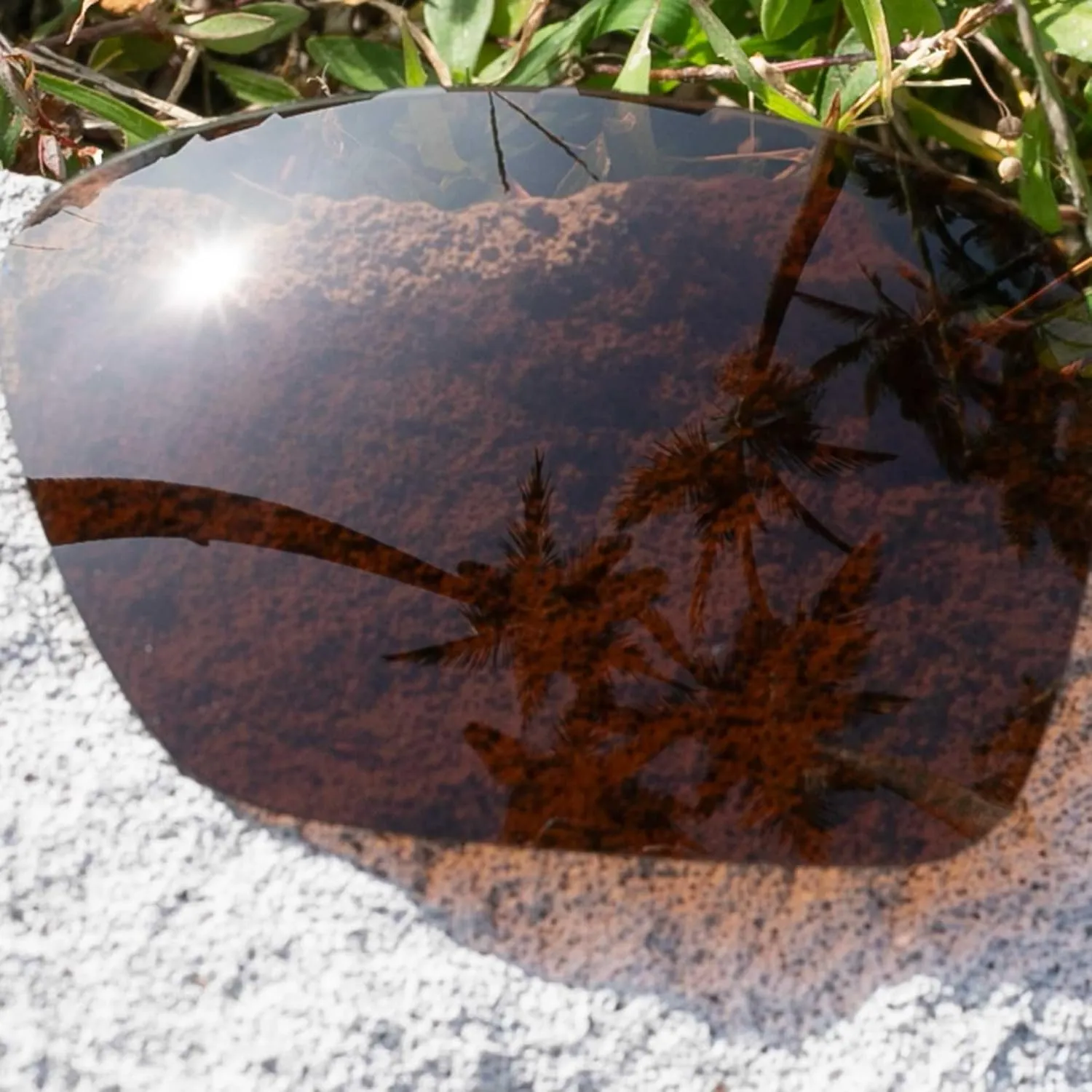 Replacement Lenses for VonZipper Elmore Sunglasses